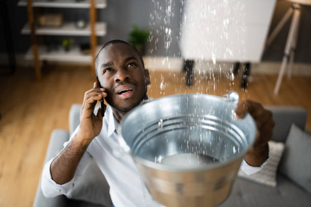 Best Residential water damage restoration  in Amory, MS