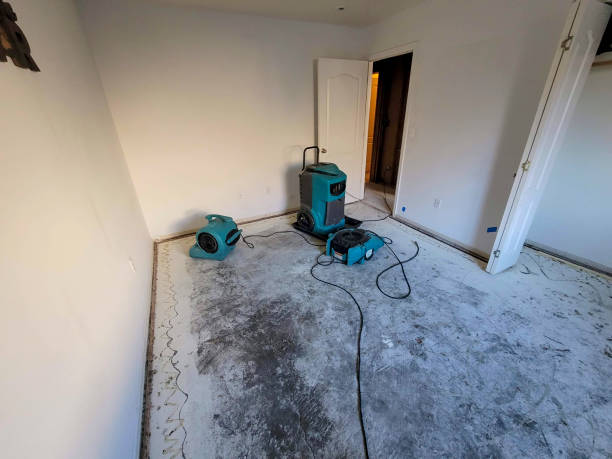 Best Fire Damage Restoration  in Amory, MS