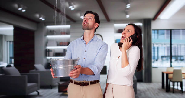Best Local water damage restoration  in Amory, MS